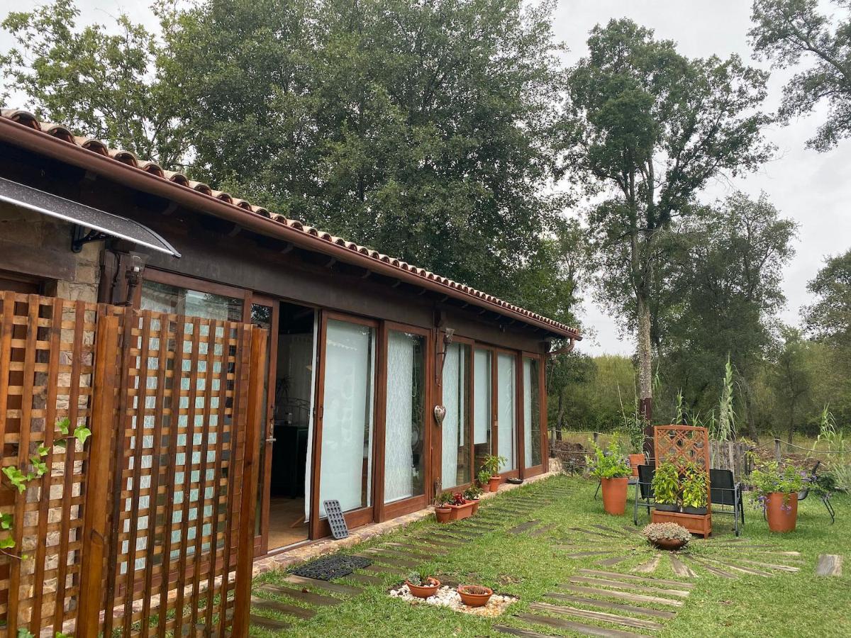 Appartement The Old Watermill Retreat - O Retiro Da Azenha Velha à Vila Nova de Poiares Extérieur photo