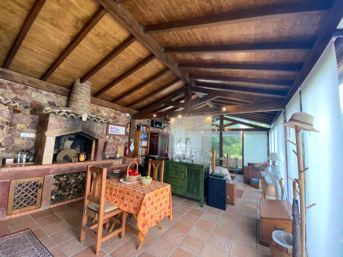 Appartement The Old Watermill Retreat - O Retiro Da Azenha Velha à Vila Nova de Poiares Extérieur photo