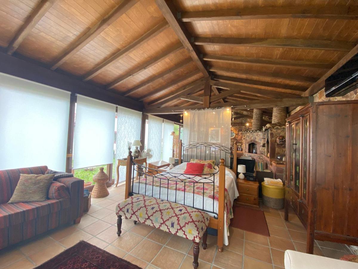 Appartement The Old Watermill Retreat - O Retiro Da Azenha Velha à Vila Nova de Poiares Extérieur photo